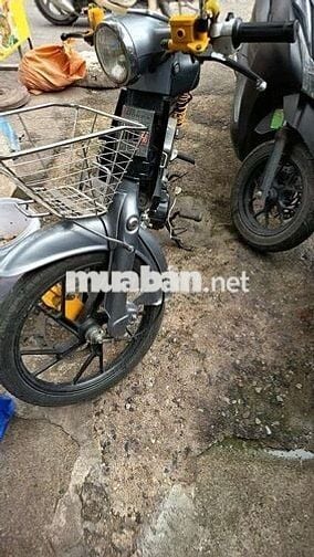 Xe cộ