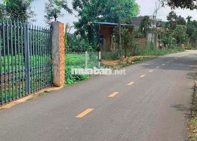 Chính chủ bán vườn 2500m2 có nhà cấp 4 ngay UBND Tân Hiệp - Bình Dương