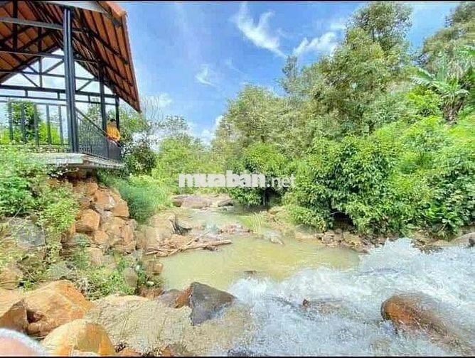 View Suối Đất Nông Nghiệp Cực Đẹp - Thích Hợp Làm Farm😍