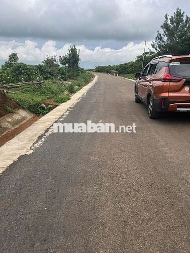 Siêu phẩm đất rộng view đồi thông gần thác DamB'ri - giá cực tốt