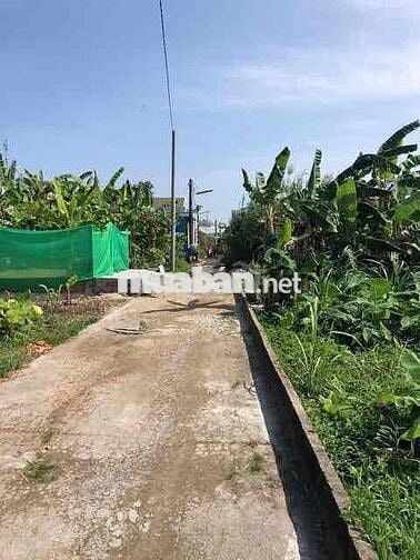 chính chủ bán nền hẻm 5 thông hẻm 6