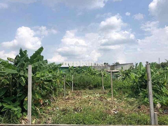 chính chủ bán nền hẻm 5 thông hẻm 6