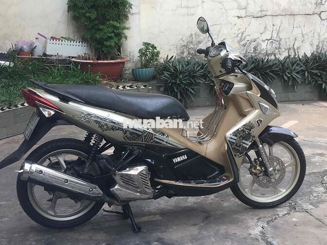 Nouvo 4 vàng đen bstp
