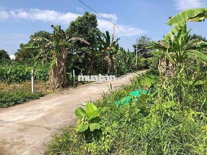 chính chủ bán nền hẻm 5 thông hẻm 6