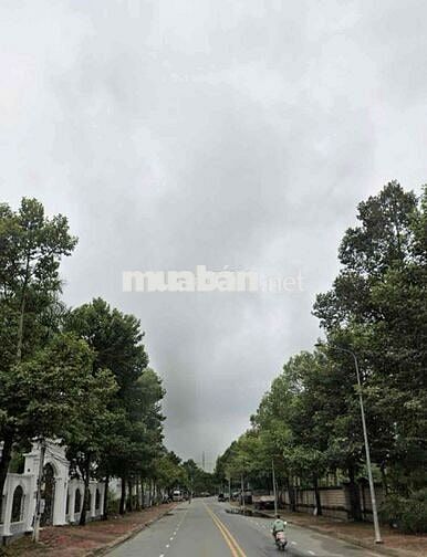 đất mặt tiền 120m2 giá 800tr Đ.Phan Bội Châu, Thủ Dầu Một, Bình Dương