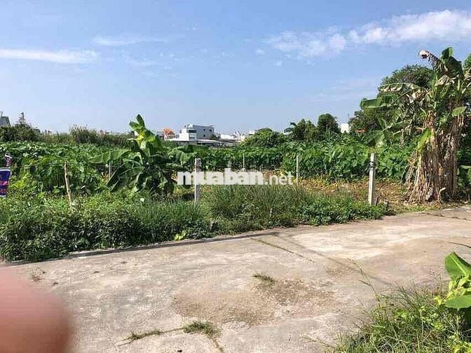chính chủ bán nền hẻm 5 thông hẻm 6