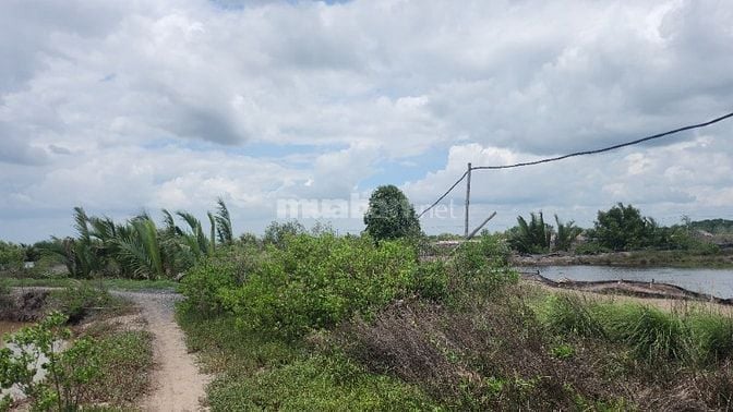 ~2000m2 đất, gần kdl Vàm Sát, trường học, ubnd xã