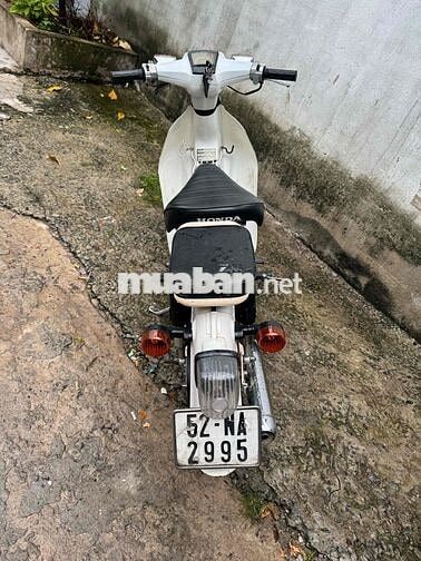 honda cúp 50cc