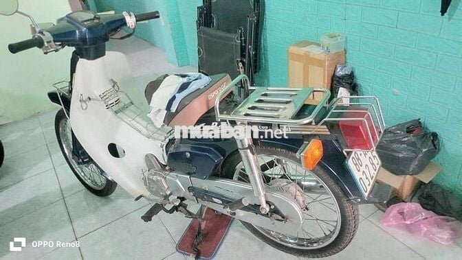 Cub 50cc