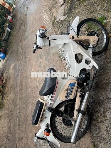 honda cúp 50cc