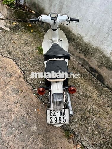 honda cúp 50cc