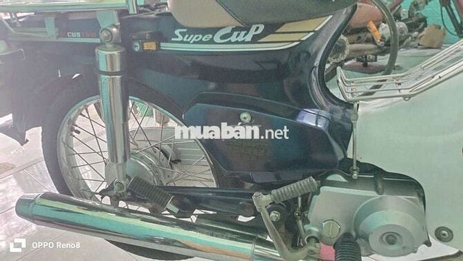 Cub 50cc