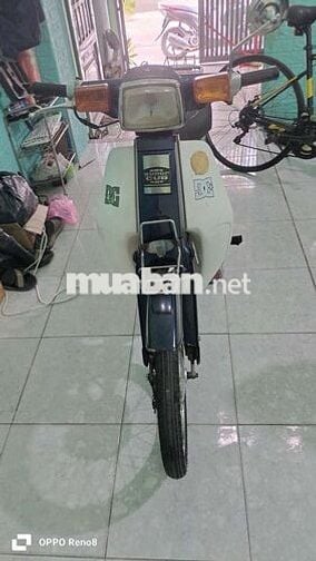Cub 50cc