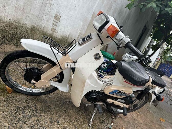 honda cúp 50cc