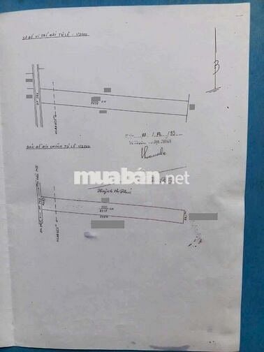 Đất Mặt Tiền DT 743 Kho Xưởng Gần Vòng Xoay An Phú, P. An Phú, Tp HCM