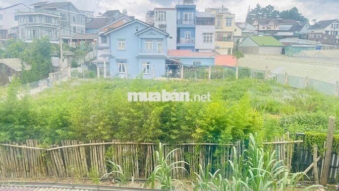 🔥 Bán gấp Villa Trung tâm TP. Đà Lạt – Nguyễn Công Trứ – Giá 9,7 Tỷ 🔥