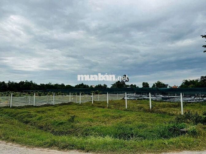 GẤP - em cần bán 220m2 tại Basa Phước Hiệp giá ngộp chỉ 520Tr