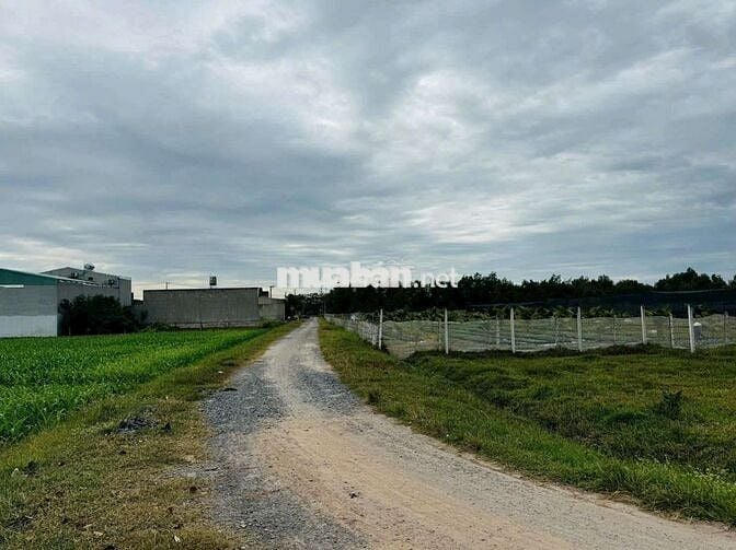 GẤP - em cần bán 220m2 tại Basa Phước Hiệp giá ngộp chỉ 520Tr