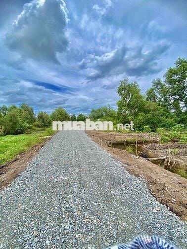 Đất nhà vườn Xã Bình Đức,Bến Lức,