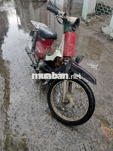 Honda Cub 70cc