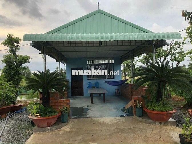 Đất chính chủ, SHR (DT 7x50m) giá 900tr.Cách Thị Ủy Trảng Bàng 300m