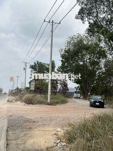 Đất sổ đỏ, Phước Tân, 2932m2, 8 tỷ,Võ Nguyên Giáp vô 150m, xe cont đi.