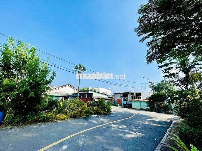 450 TRIỆU Đất Thị Trấn Củ Chi 157m2 cần bán gấp Sổ Hồng Riêng
