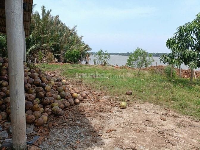 Bán 3 công đất view sông lớn - 2 sổ riêng