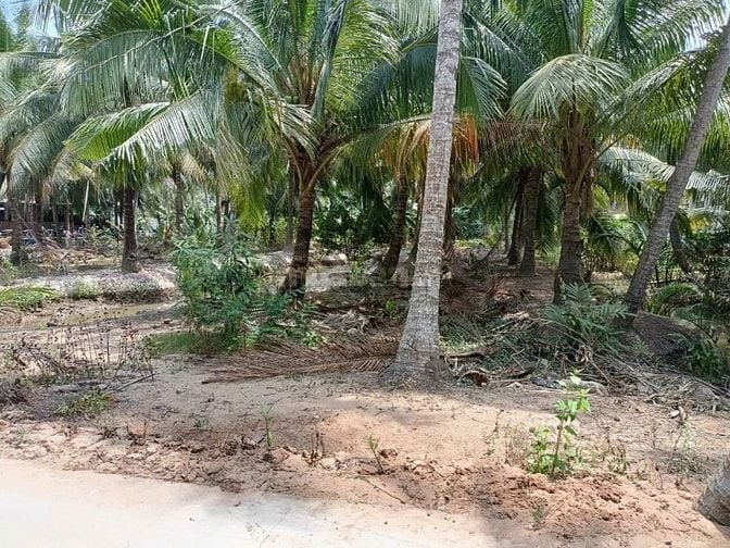 Bán 3 công đất view sông lớn - 2 sổ riêng