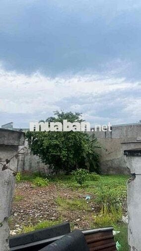 🌳LÔ ĐẤT ĐẸP 310m² – DĨ AN ✅ Ngang 18m x Sâu 16m