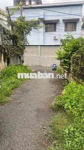 🌳LÔ ĐẤT ĐẸP 310m² – DĨ AN ✅ Ngang 18m x Sâu 16m
