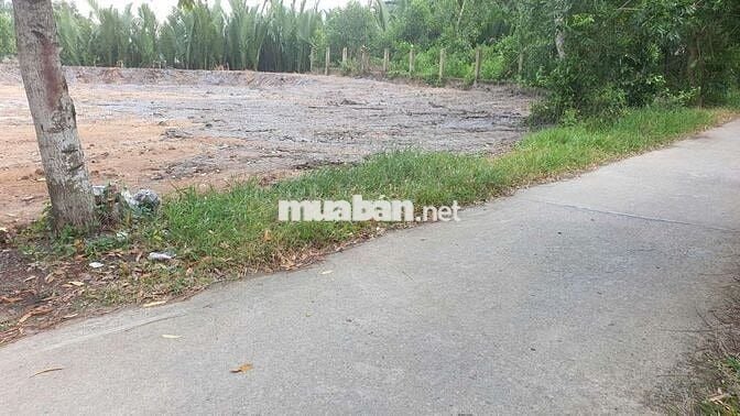 BÁN 964 M2 ĐẤT MẶT TIỀN THANH NIÊN XUNG PHONG , HIỆP PHƯỚC,NHÀ BÈ.
