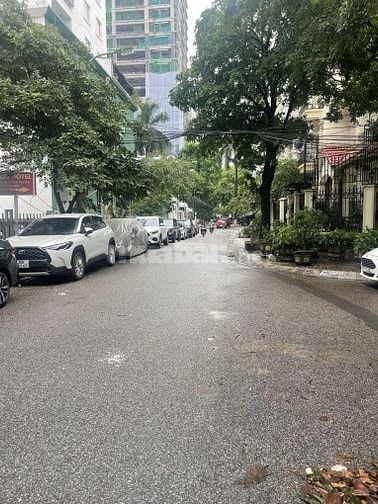 CC bán BT lô góc 3 mặt thoáng 240m2 MT 20m phố Trần Thái Tông