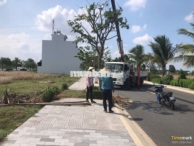 🔥 ĐẤT NỀN CẠNH KHU TÁI ĐỊNH CƯ ECO PARK – GIÁ CHỈ TỪ 1,8 TỶ 🔥