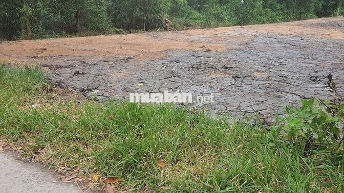 BÁN 964 M2 ĐẤT MẶT TIỀN THANH NIÊN XUNG PHONG , HIỆP PHƯỚC,NHÀ BÈ.