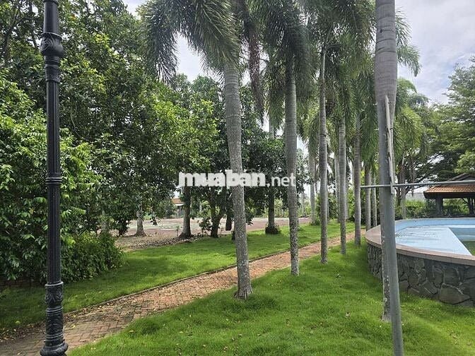 biệt thự vườn 180 tỷ, 80x195m, mặt tiền Quốc Lộ 1A