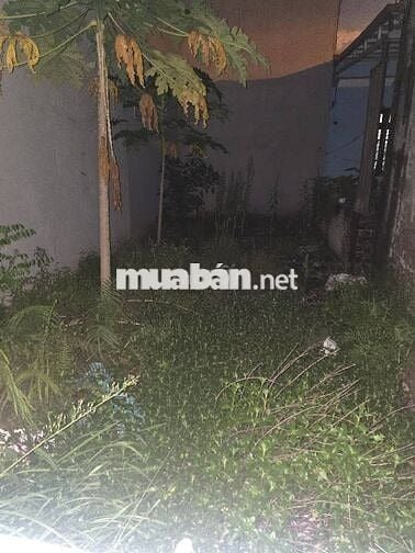 ĐẤT ĐẸP XUÂN PHƯƠNG, NGÕ THÔNG ÔTÔ VF3 VÀO ĐẤT, DT 55M2 MT 4,2M, SỔ A4