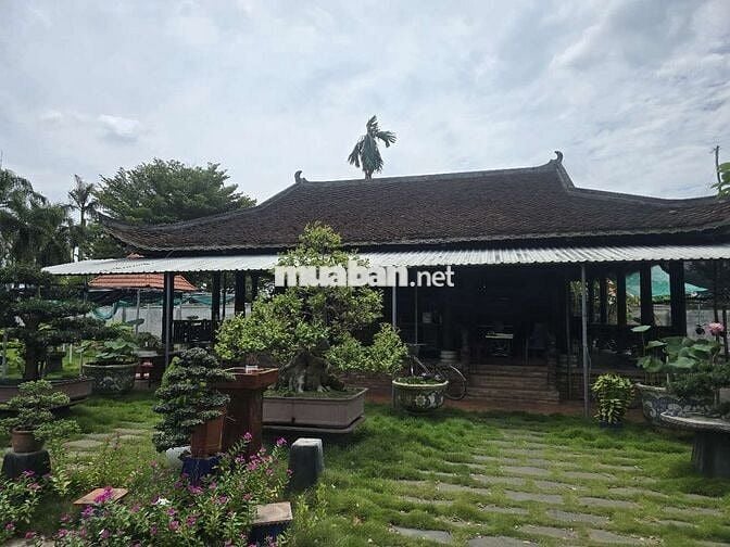 biệt thự vườn 180 tỷ, 80x195m, mặt tiền Quốc Lộ 1A