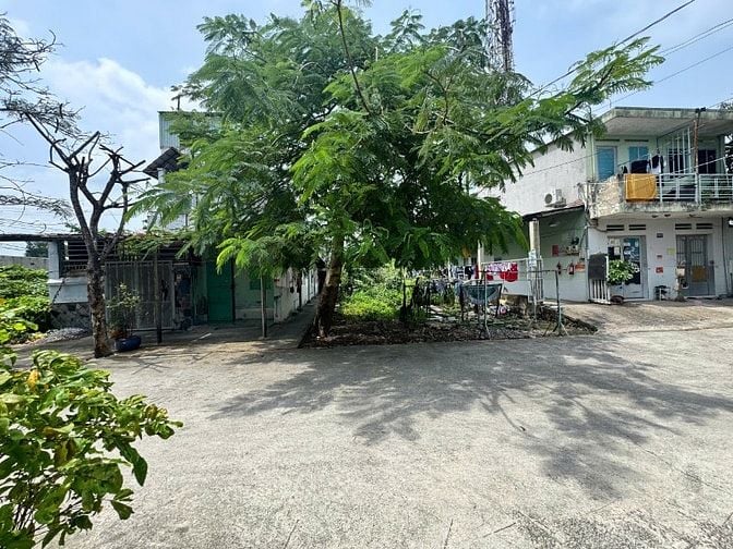 Giá Rẽ Bán Nhanh nhà 3 tầng 8x20m full thổ cư, 10 phòng đang cho thuê