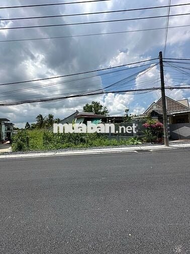 BẤN 451 M2 ĐẤT MẶT TIỀN ĐƯỜNG BÔNG VANG GIÁ 4,7 TỶ