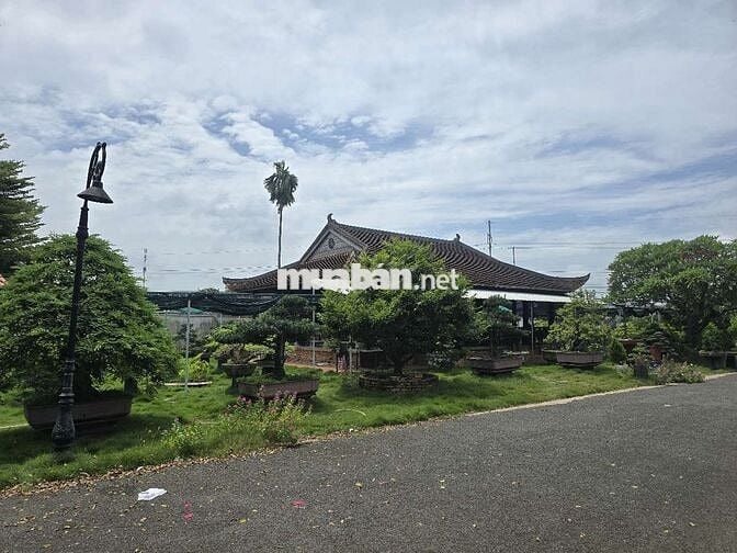 biệt thự vườn 180 tỷ, 80x195m, mặt tiền Quốc Lộ 1A