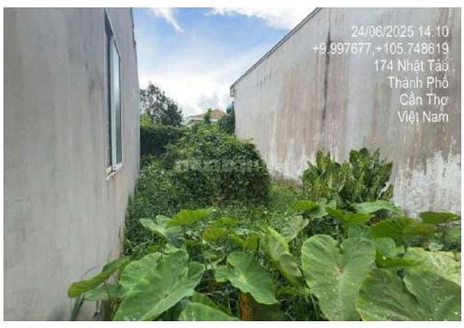 Bán 113m2 ODT tại khu vực Yên Hòa, P.Lê Bình, Q.Cái Răng, TP.Cần Thơ