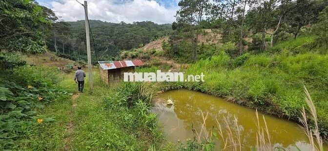 BÁN LÔ ĐẤT ĐẸP GIÁ RẺ – PHƯỜNG XUÂN TRƯỜNG, ĐÀ LẠT