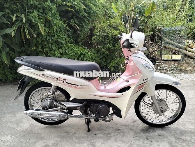 Xe 50ccko cần bằng lái biển 65