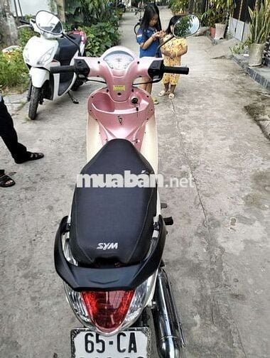 Xe 50ccko cần bằng lái biển 65