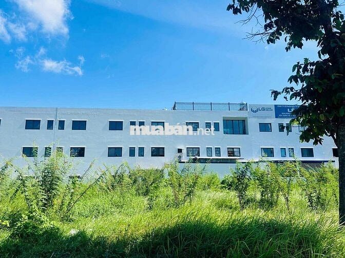 Đường số 8 Biệt Thự 10x24 Cạnh Siêu Thị Nhật Bản Đối Diện Trung Tâm HC