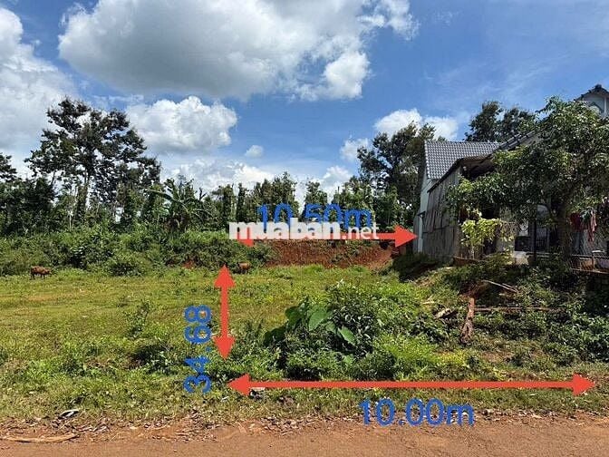🔥 BÁN GẤP – ĐẤT MẶT TIỀN GẦN ĐƯỜNG HỒ CHÍ MINH – ĐẮK LẮK