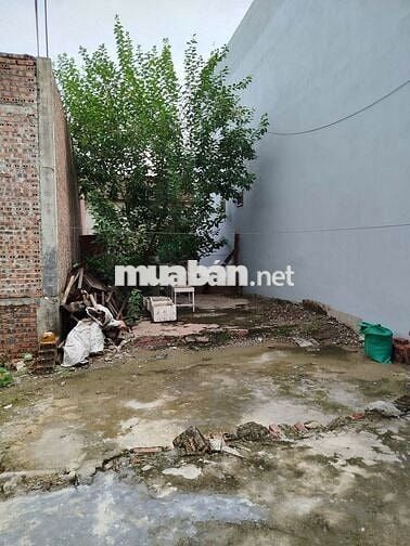 Đất sổ đỏ 73.7m2 thôn bấc 1, Thủy Đường, Thủy Nguyên