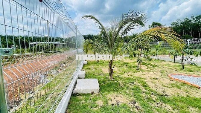 Cần bán đất tặng kèm nhà vườn 250m² - ngay mặt tiền đường 42m
