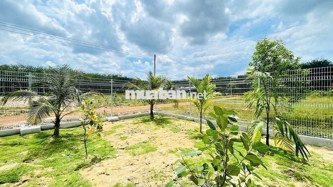 Cần bán đất tặng kèm nhà vườn 250m² - ngay mặt tiền đường 42m